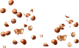 Noisettes
